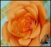 آموزش تصویری ساخت گل دکوراتیو زیبا