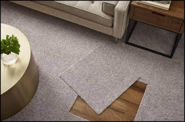 https://up.rozbano.com/view/3369195/Familiarity%20with%20foreign%20carpet-02.jpg